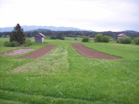 Weiden en lapjes bewerkte grond