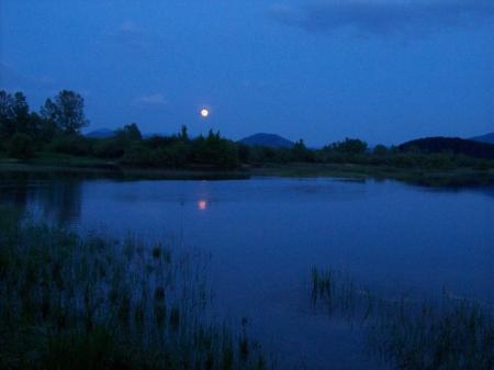 Cerknica-meer bij volle maan