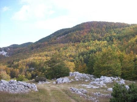 Herfstkleuren Lovcen