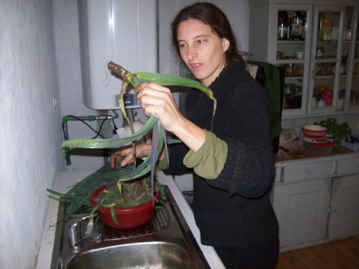 prei stijgt naar het hoofd ...