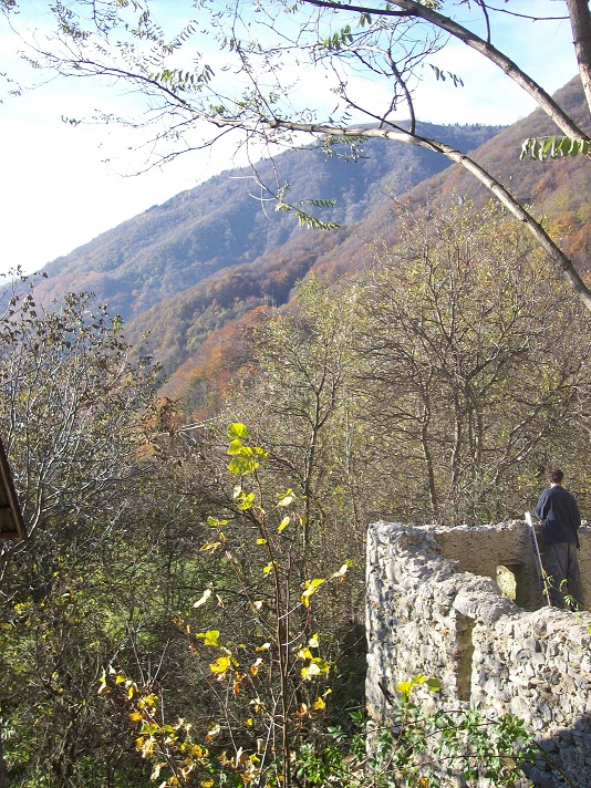 hoe lager de stal, hoe mooier het uitzicht!