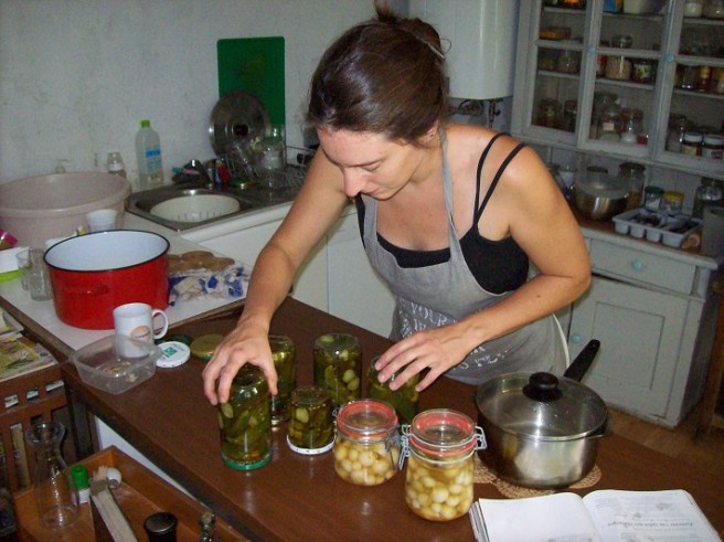 inmaken zilveruitjes en augurken