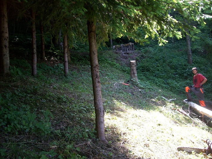 start aanleg blauwe bosbes plantage