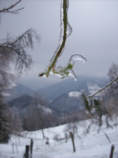 ijsblokjes, niks ontsnapt eraan