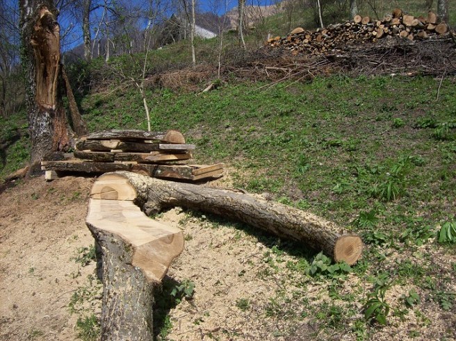 zitbank, planken en houtstapel (op achtergrond)