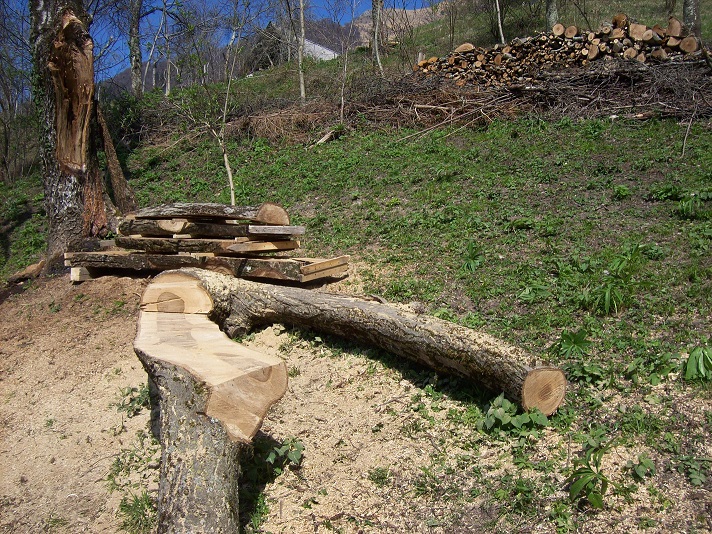 zitbank, planken en houtstapel (op achtergrond)