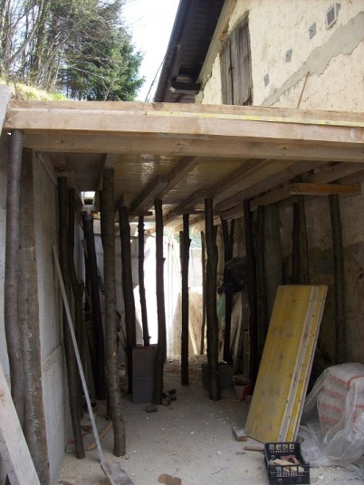 bekisten & stutten met bomen uit ons bos