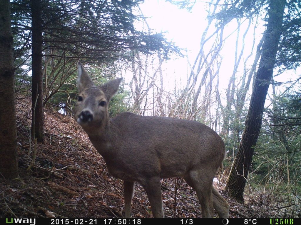 P107-389-256-323-1a026