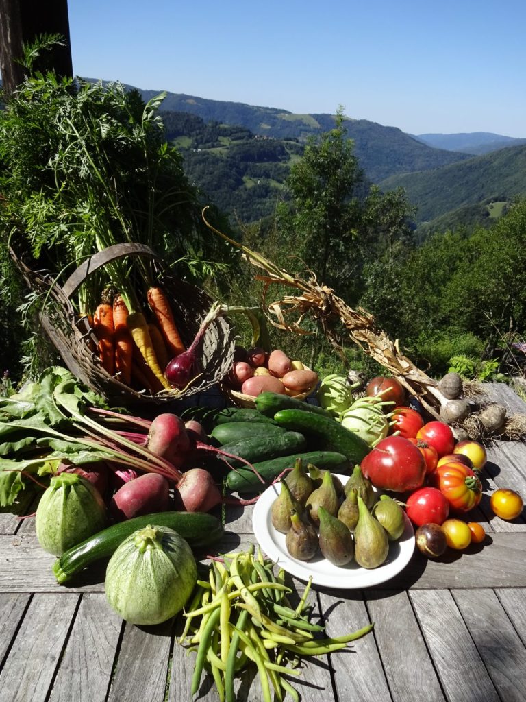 Een overvloed aan zongerijpte groenten & fruit