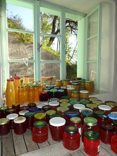 Volgend seizoen op de ontbijttafel: pannenkoeken met kweesiroop, bladerdeegrolletje gevuld met kweemoes of pistollékes met kweegelei!