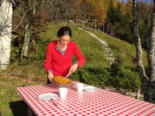 gekarameliseerde appeltaart. Gesmaakt & goedgekeurd als dessertje voor onze gasten!