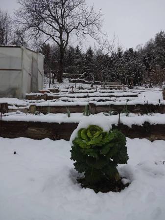 7637_1714040372147785_4483472414049662355_n