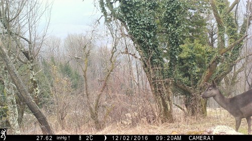 0920:120216:02C:2762:CAMERA1:1