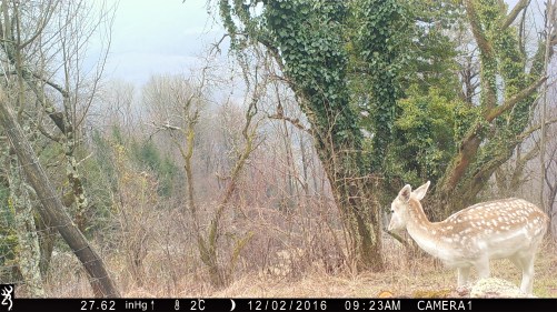 0923:120216:02C:2762:CAMERA1:1