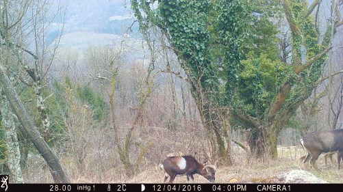 1601:120416:02C:2800:CAMERA1:2