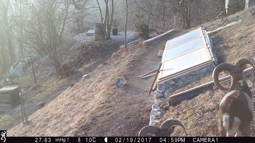 1659:021917:10C:2783:CAMERA1:6