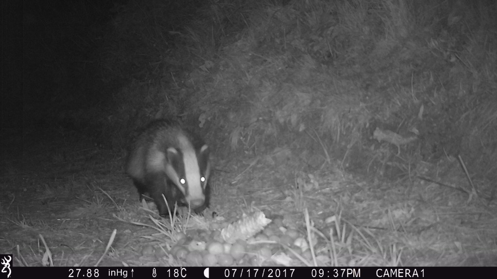 2137:071717:18C:2788:CAMERA1:6