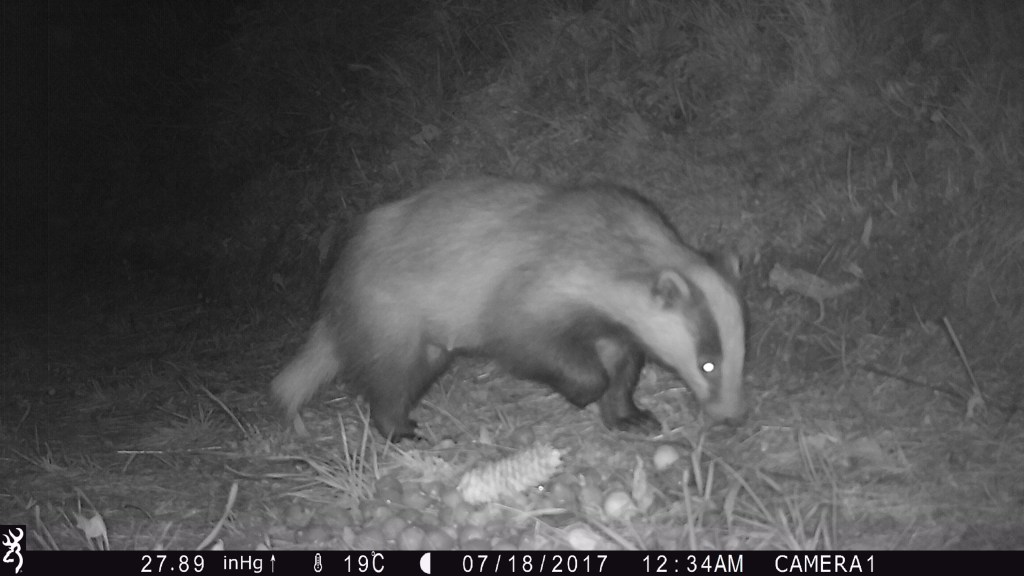 0034:071817:19C:2789:CAMERA1:6