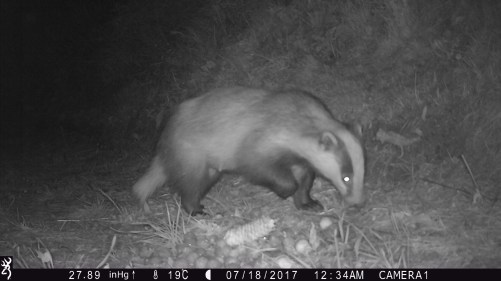 0034:071817:19C:2789:CAMERA1:6