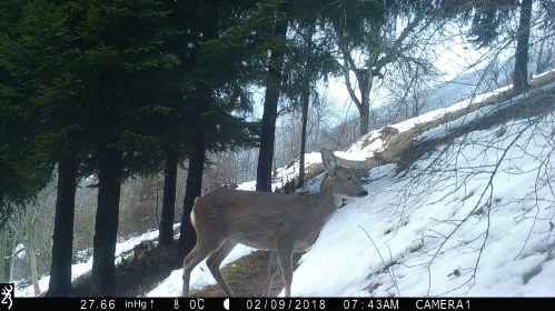 0743:020918:00C:2766:CAMERA1:6